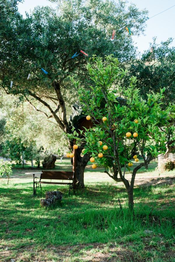 Villa Kallithea Parga Eksteriør billede