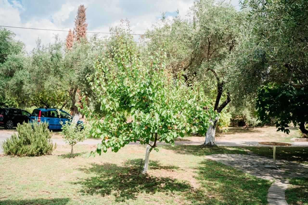 Villa Kallithea Parga Eksteriør billede